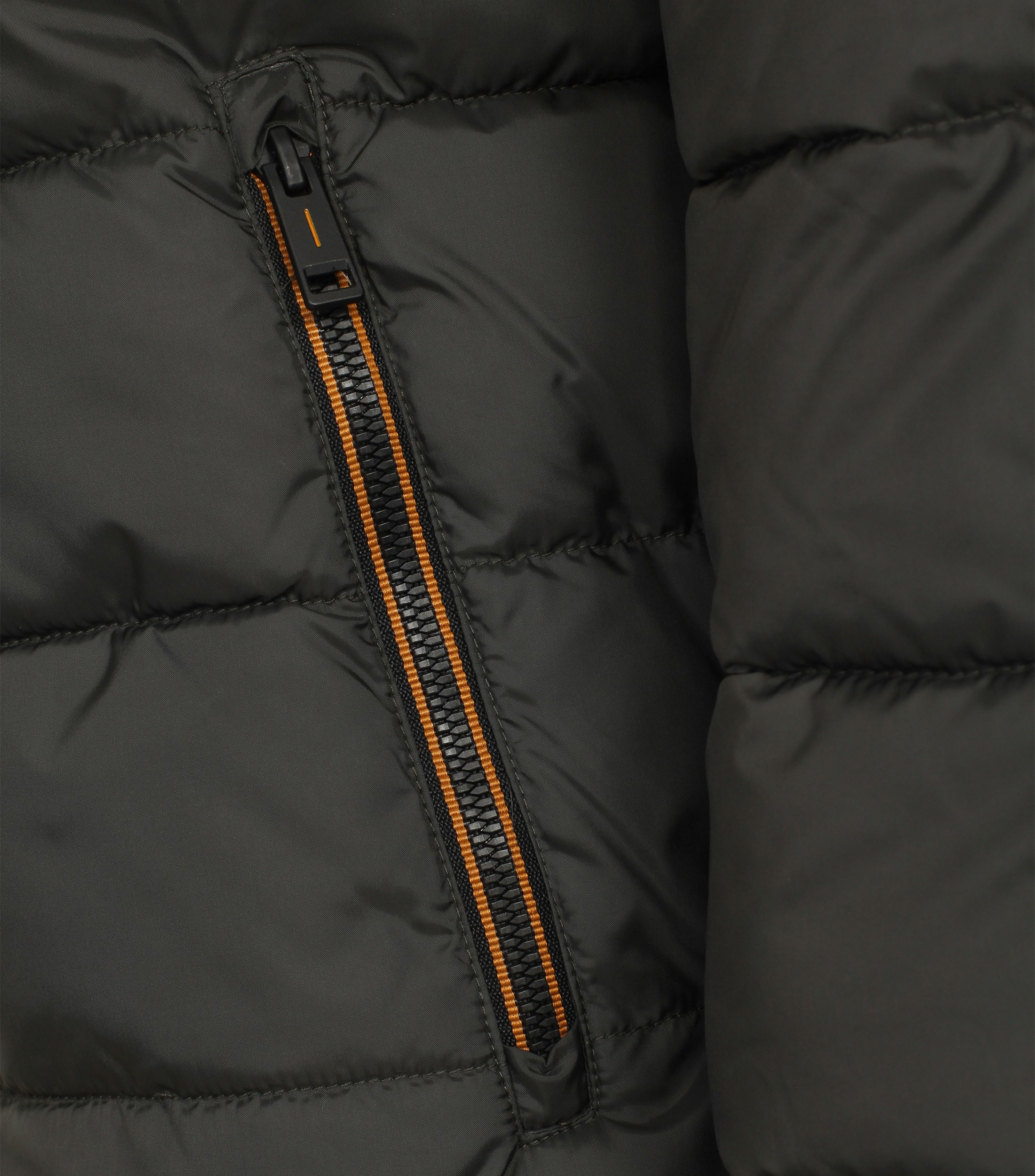 Ein Jacke im uni Muster in der Farbe Dunkelgrün