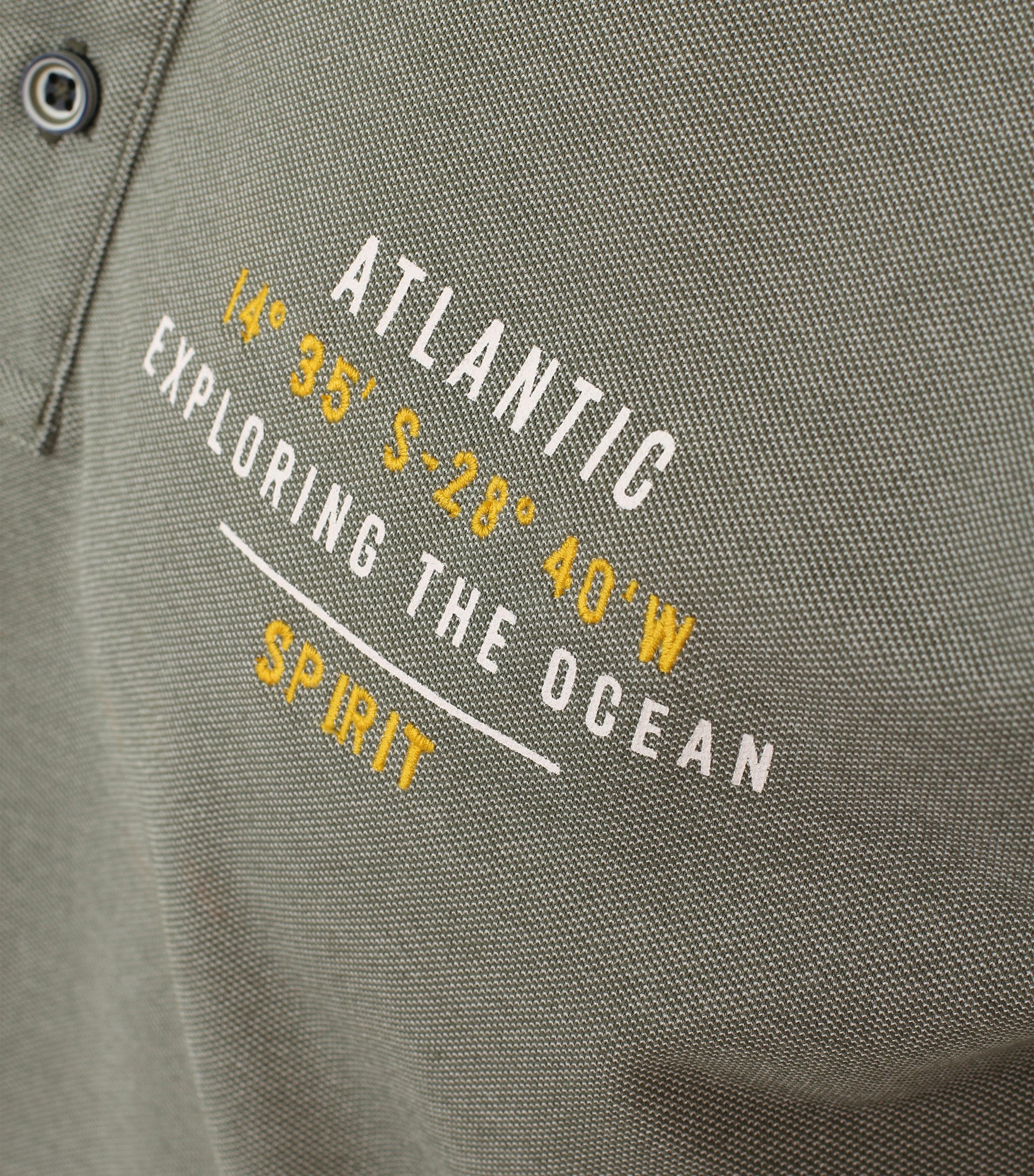 Ein Polo-Shirt im uni Muster in der Farbe Grün