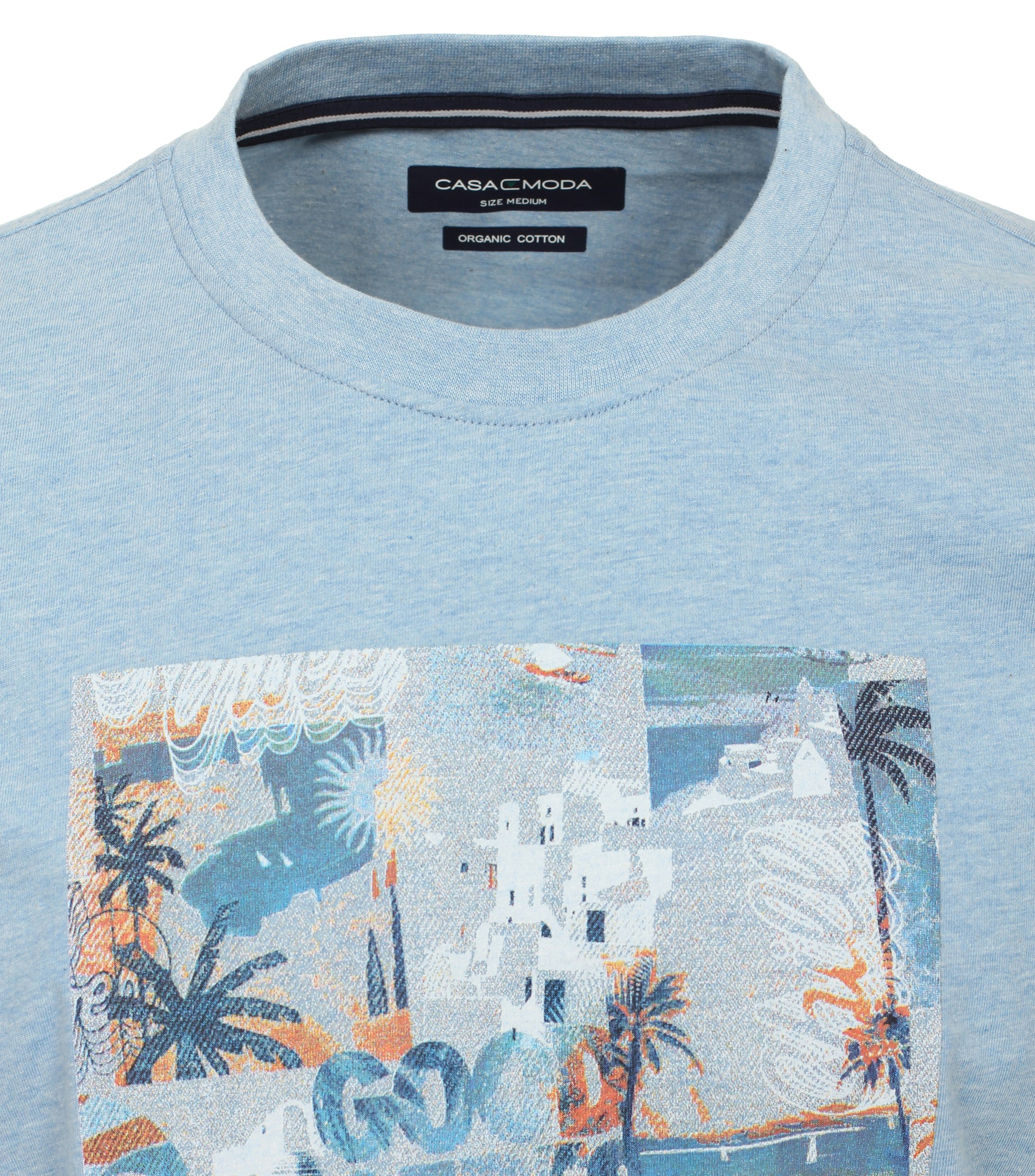Ein T-Shirt im Print Muster in der Farbe Hellblau