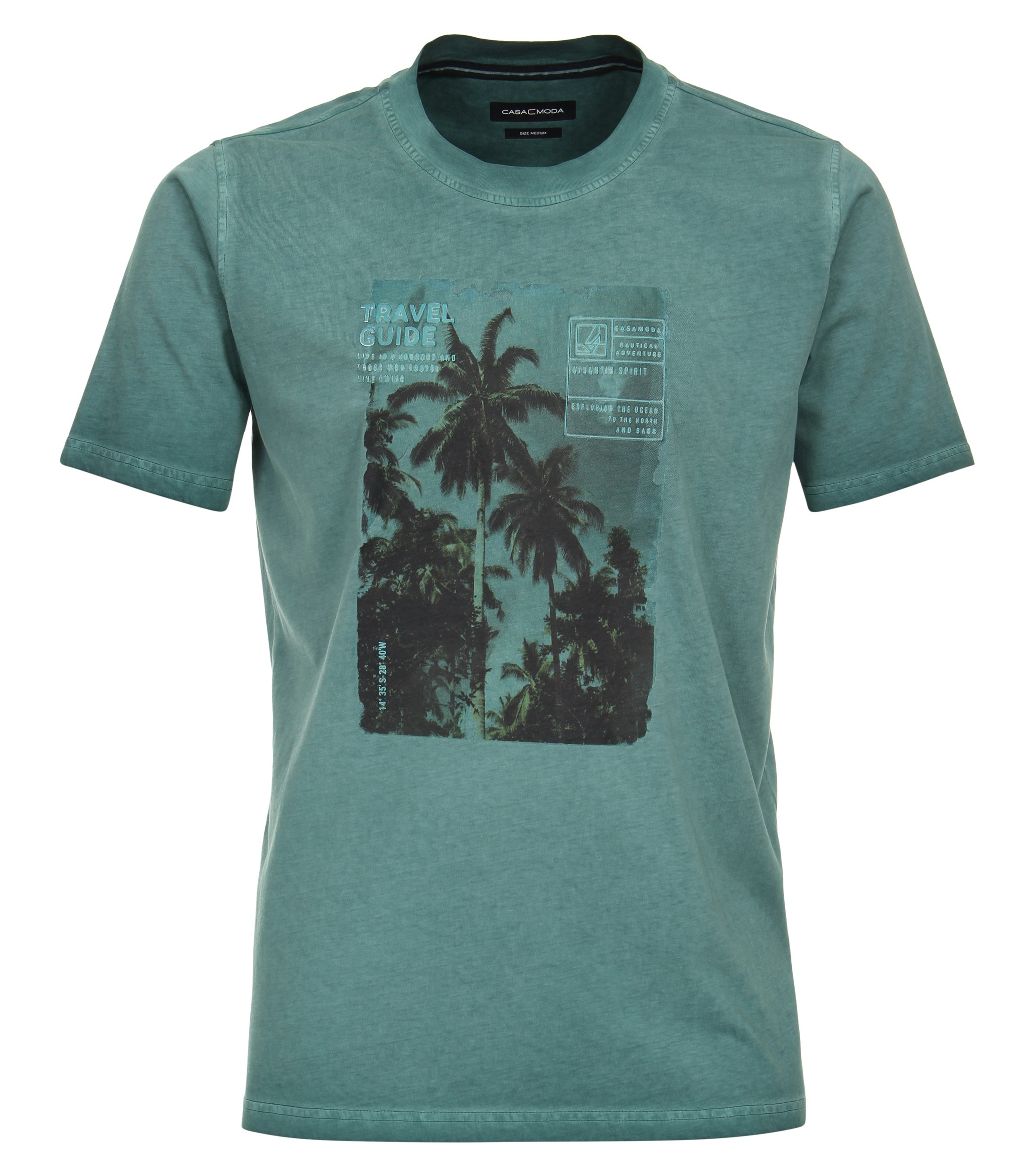 Ein T-Shirt im uni Muster in der Farbe Türkis