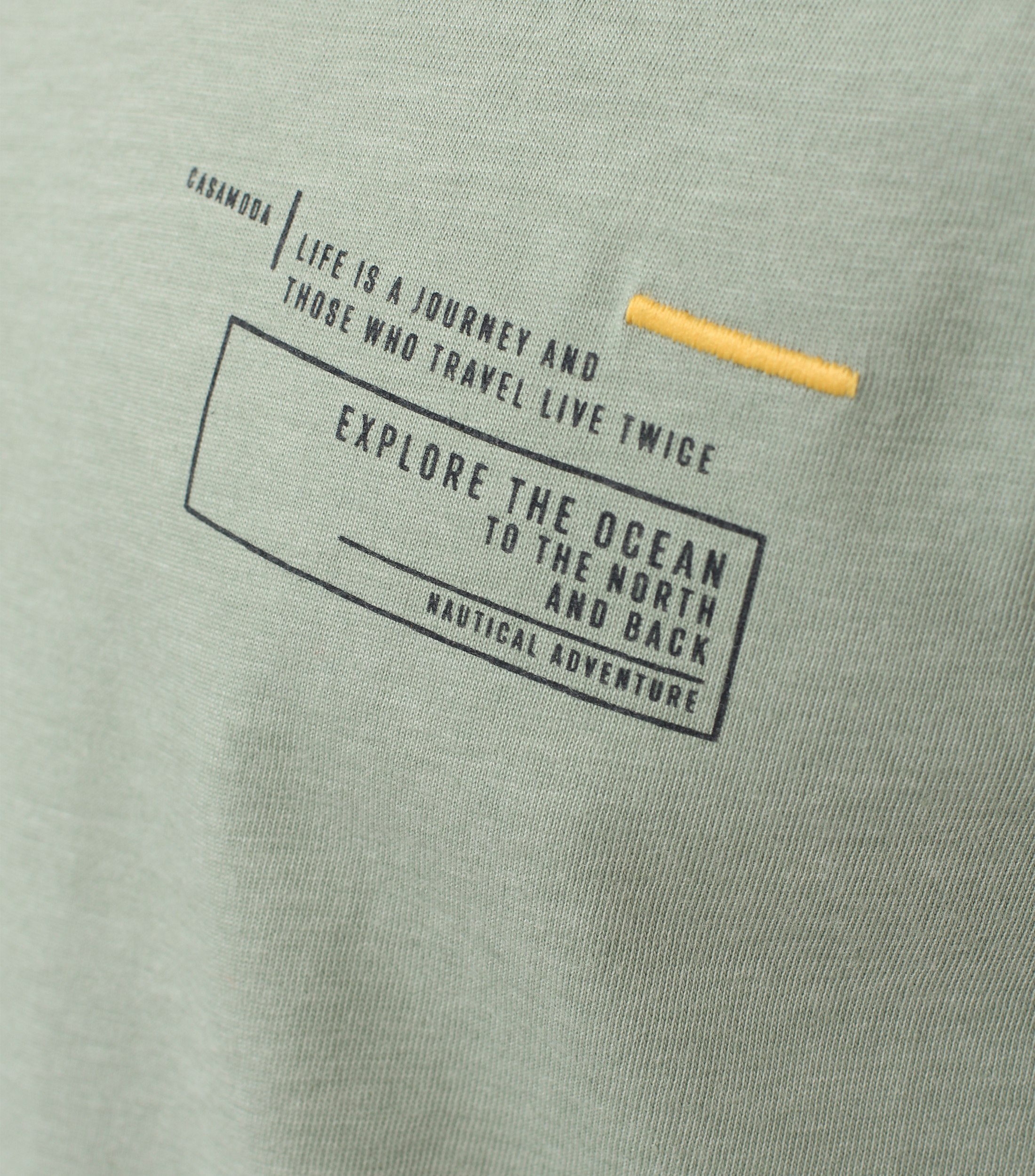 Ein T-Shirt im uni Muster in der Farbe Hellgrün