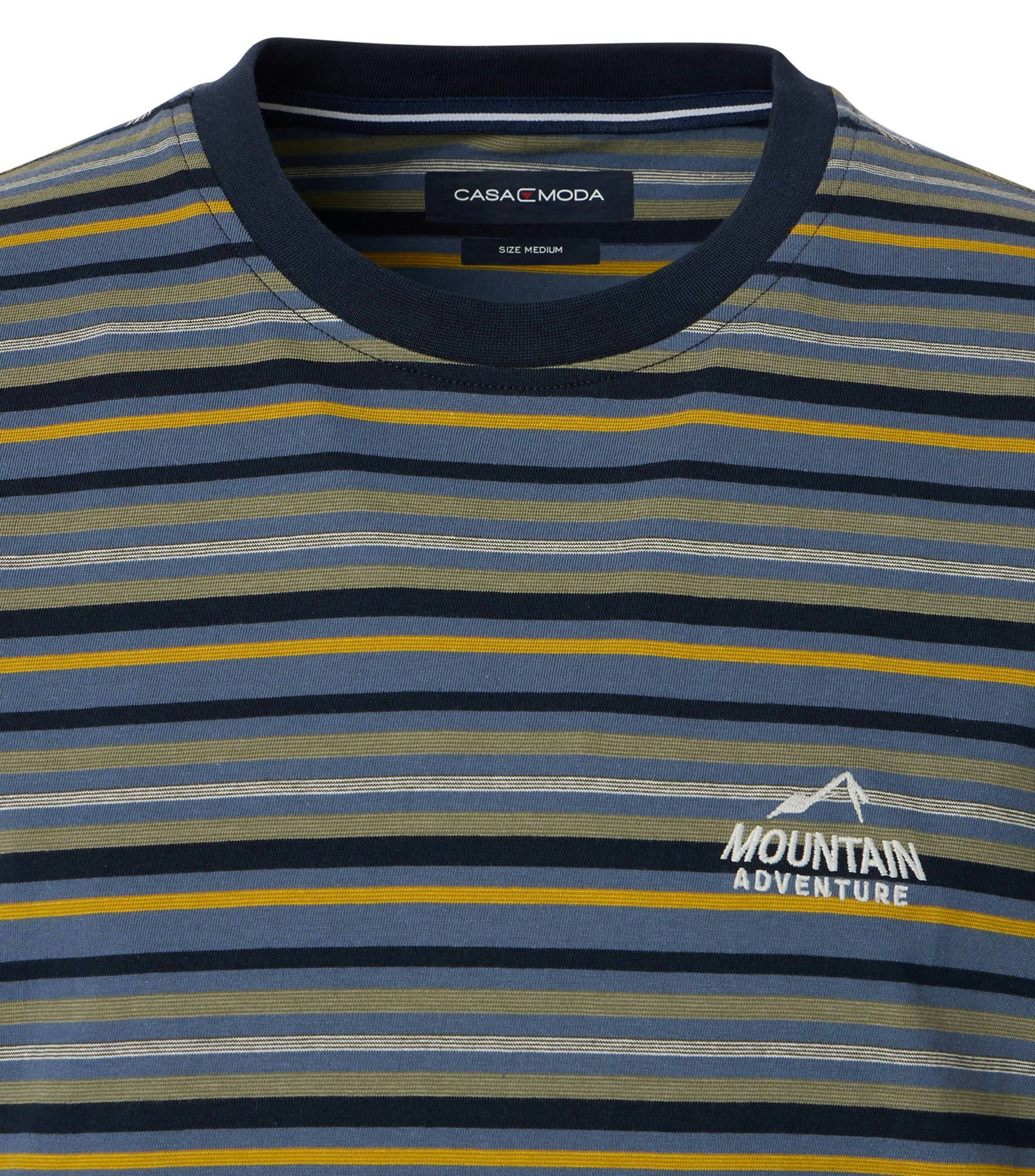 Das Model trägt ein TShirt im gestreift Muster in der Farbe Grünblau