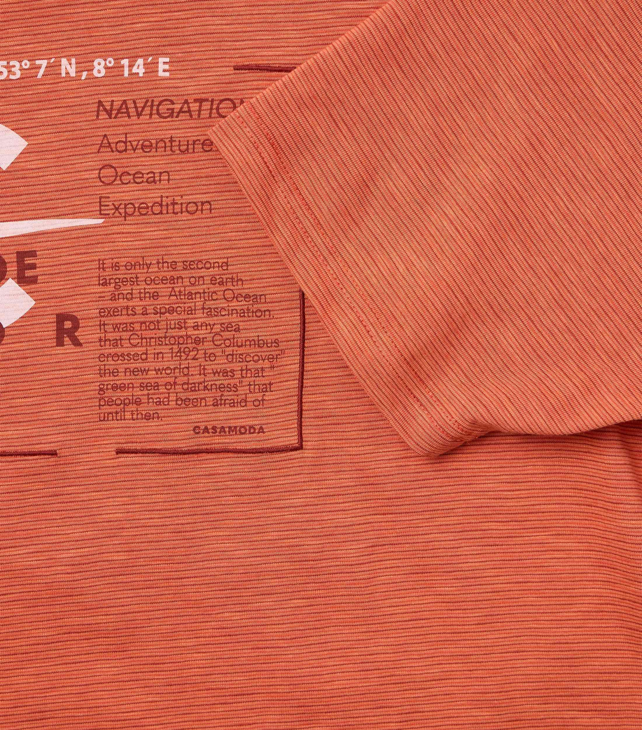 Ein T-Shirt im uni Muster in der Farbe Rot