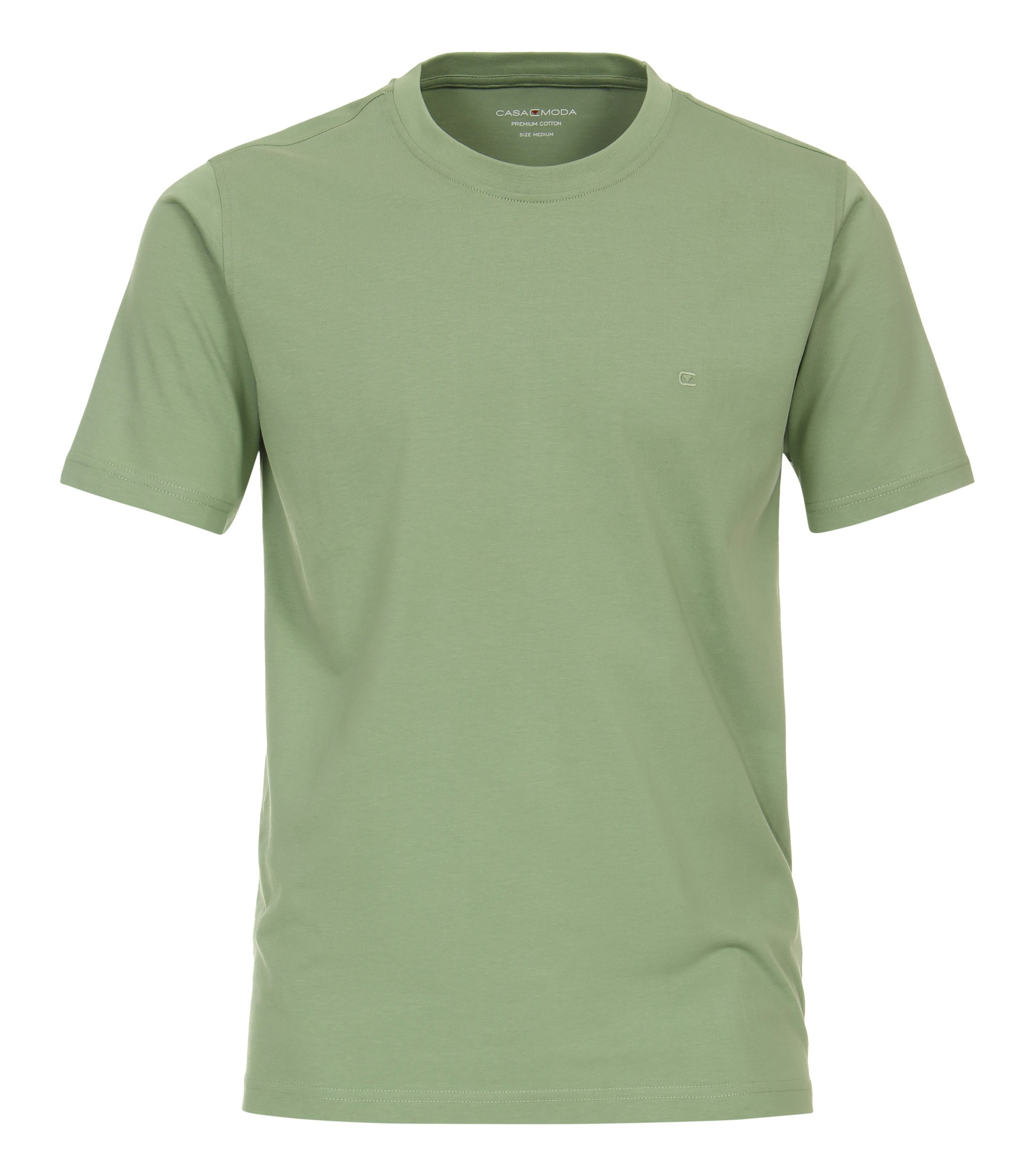 Das Model trägt ein TShirt im uni Muster in der Farbe Grün