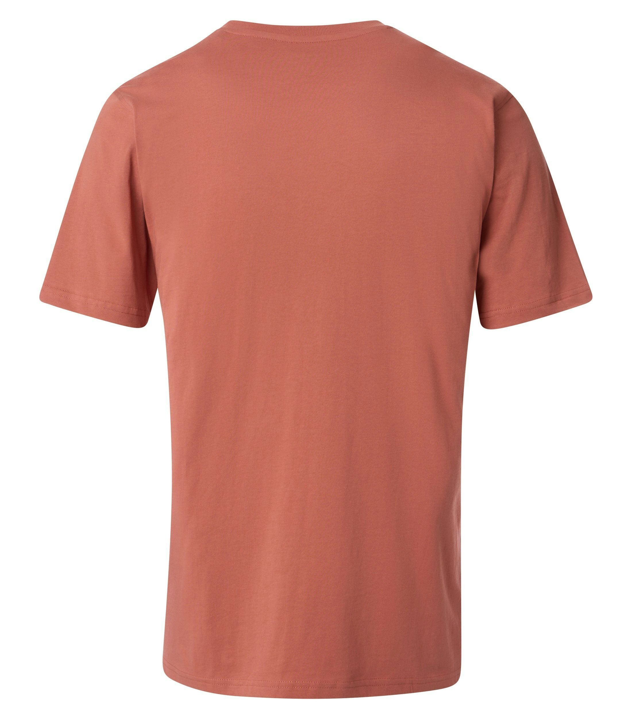 Das Model trägt ein TShirt im uni Muster in der Farbe Hellorange