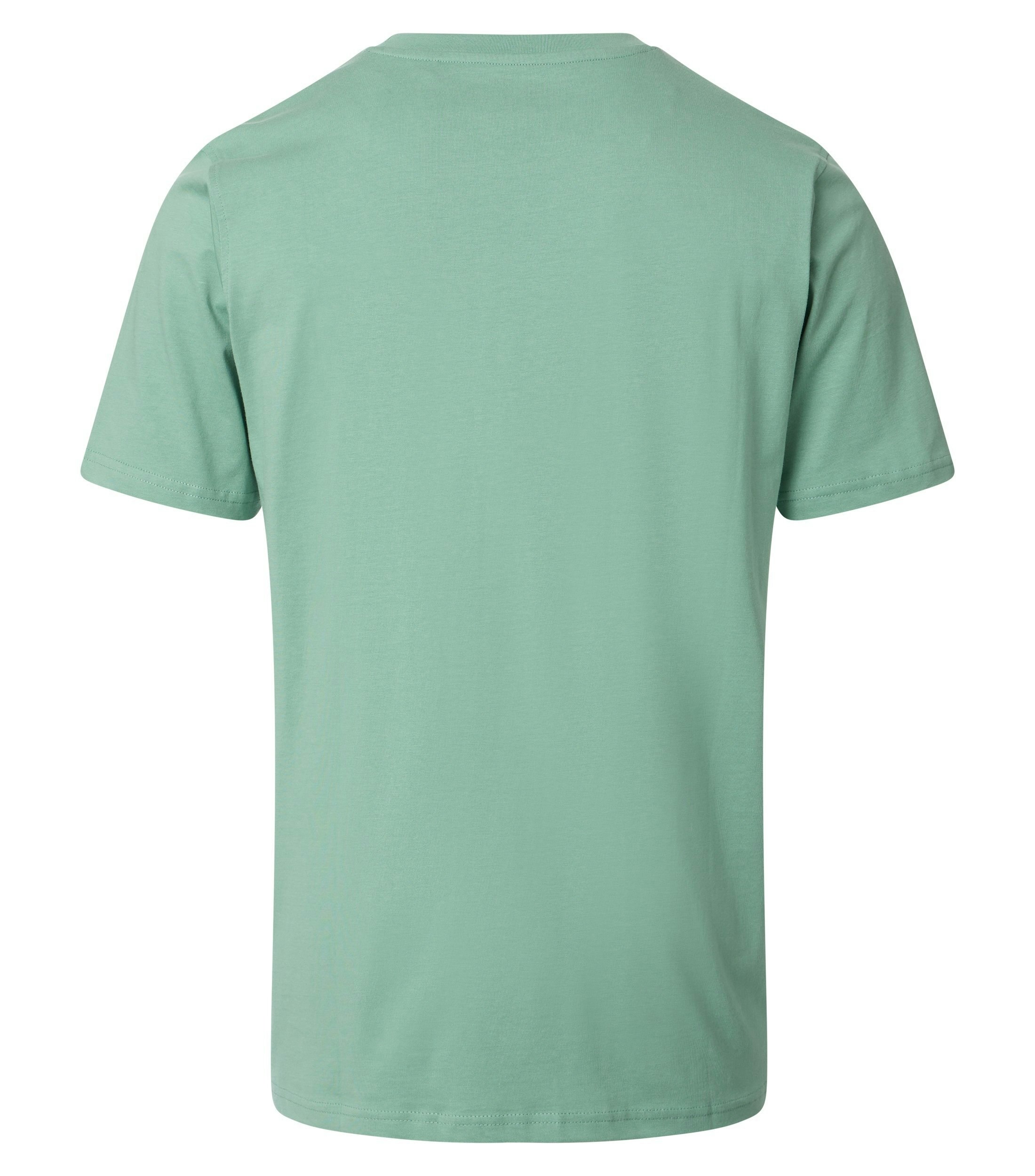 Ein T-Shirt im uni Muster in der Farbe Mint