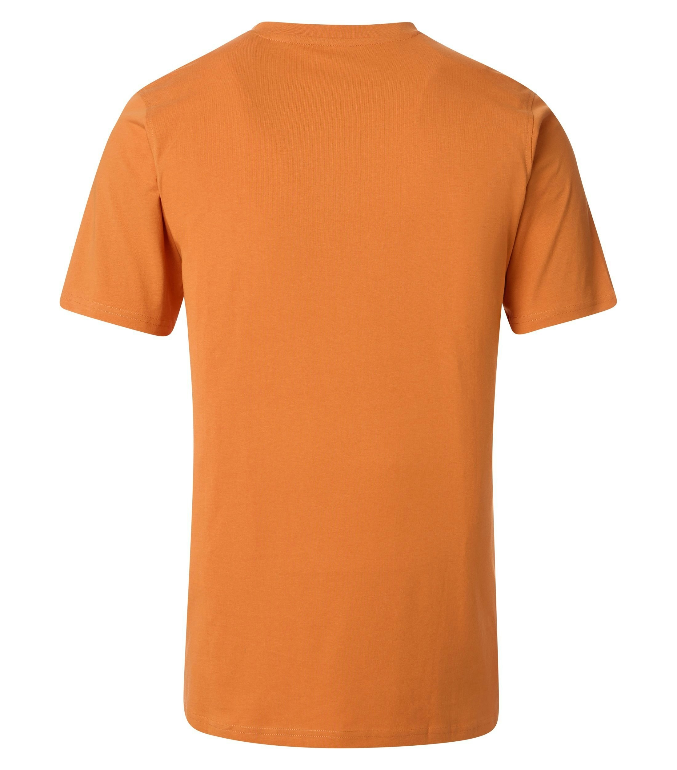 Das Model trägt ein TShirt im uni Muster in der Farbe  Orange